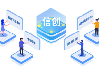 天维网络信创环境兼容性与技术能力概览