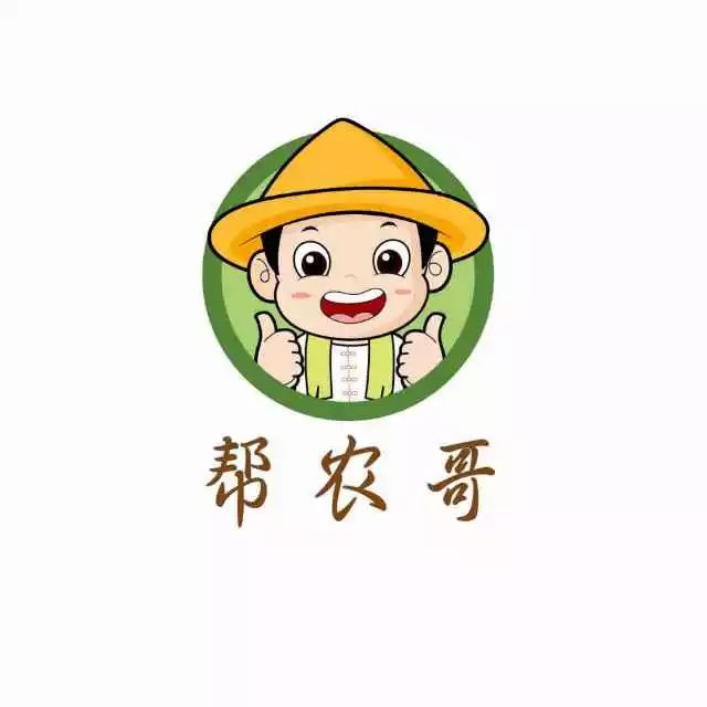 有赞来了！常德商家速速来领2019年第一波福利(图17)
